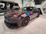2024 Ford Mustang Motorhaube - Carbon - Type OE