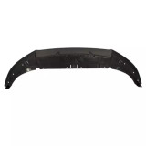 10-14 Ford Mustang Shelby GT500 (5.4, 5.8) Stoßstangenansatz - Ford OEM Vorne