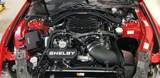 20-22 Ford Mustang Shelby GT500 Ausgleichsbehälter für Ladeluft Kühlkreislauf - SHELBY - Aluminium - Schwarz