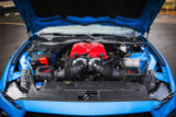 24-25 Ford Mustang (5.0) Kompressor - ROUSH - Phase 2  - 810PS
