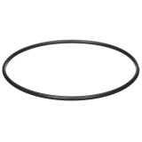 07-23 Ford Mustang (5.0, 5.2, 5.4, 5.8) Dichtung Kühlwasserpumpe - Ford OEM