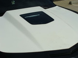 10-14 Chevrolet Camaro Motorhaube