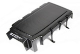 05-10 Ford Mustang GT (4.6) Motorabdeckung - Carbon