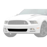 13-14 Ford Mustang Kühlergrill - California Special, unterer Grill Unten
