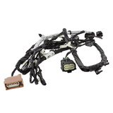 15-23 Ford Mustang Tail Light Harness