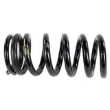 15-20 Ford Mustang (5.2) Spiralfeder - Ford OEM Hinten links