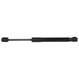 05-09 Ford Mustang GT Haubenlift Hinten