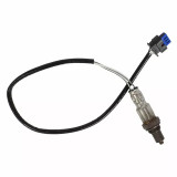 18-23 Ford Mustang GT (5.0) Lambdasonde - Ford OEM Hinten rechts
