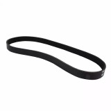 18-23 Ford Mustang GT (5.0) Flachrippenriemen - Ford OEM - AC Klimaanlage