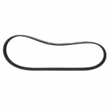 18-23 Ford Mustang GT (5.0) Flachrippenriemen - Ford OEM - AC Klimaanlage