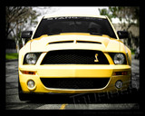 07-09 Ford Mustang (5.4) Motorhaube - GT500 - Venom Style - Ram Air