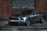 07-09 Ford Mustang (5.4) Motorhaube - GT500 - Venom Style - Ram Air
