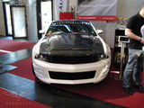 10-12 Ford Mustang (5.0) Motorhaube - Trufiber - A53 Ram Air - Carbon