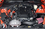 15-23 Ford Mustang Abdeckkappe für Domlager - Abdeckungen
