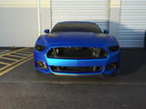 15-17 Ford Mustang Kühlergrill - Oben und Unten, Schwarz, Offen Oben und unten