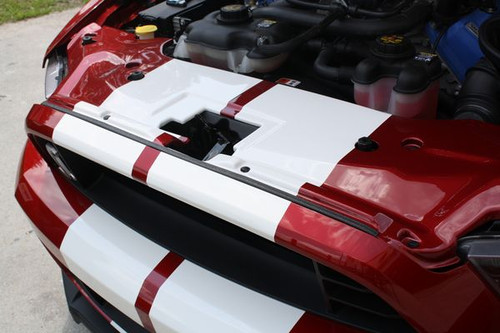 10-14 Ford Mustang Abdeckung Kühlerträger