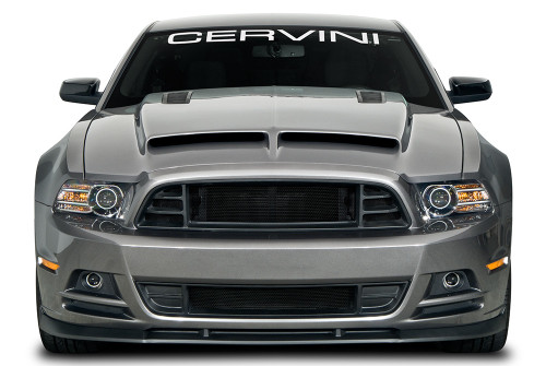 13-14 Ford Mustang GT (5.0) Kühlergrill - Cervinis - GT500-Style - Unten Unten