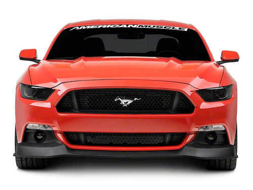 15-17 Ford Mustang Spoilerschwert - RTR Mustang Vorne