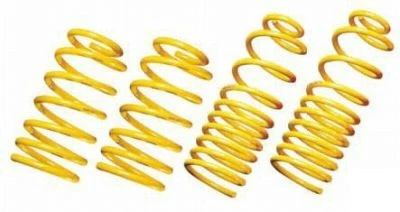 05-14 Ford Mustang Tieferlegungssatz Spiralfedern Vorne und hinten