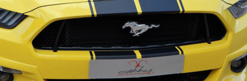 15-17 Ford Mustang Kühlergrill - Abbes - Oben - Mit TÜV Oben