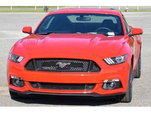 15-17 Ford Mustang Kühlergrill - Optik wie GT US-Version Vorne unten