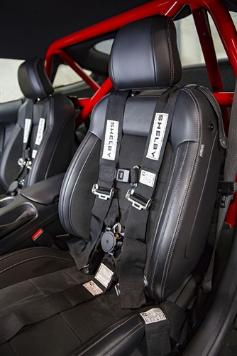 15-23 Ford Mustang Sicherheitsgurt - Shelby, 5-Punkt Hosenträgergurt