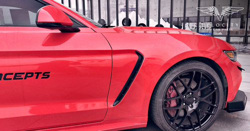 15-17 Ford Mustang Kotflügel - GT350 Style Aluminium