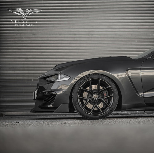 18-23 Ford Mustang Kotflügel - GT350 Style - Aluminium