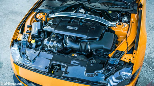 18-23 Ford Mustang Abdeckung Kühlerträger - Carbon