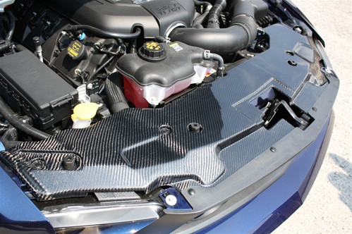 10-12 Ford Mustang (4.0, 5.0) Abdeckung Kühlerträger - Carbon - LG46
