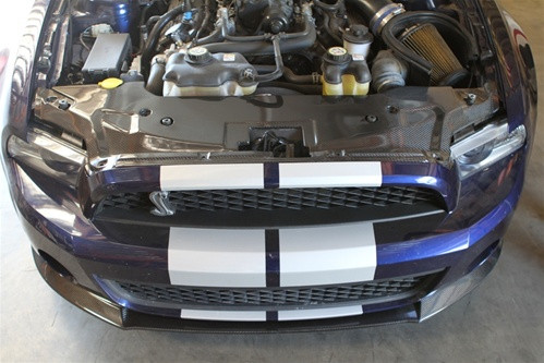 10-14 Ford Mustang Shelby GT500 (5.4, 5.8) Abdeckung Kühlerträger - Carbon -  LG46KR