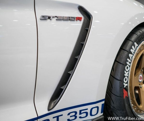 15-19 Ford Mustang Kotflügeleinsatz - Carbon Vorne