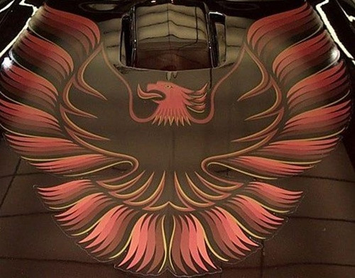 78-80 Chevrolet Corvette Aufkleber Motorhaube - Firebird Original Gold