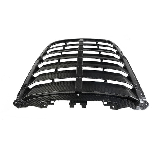 20-22 Ford Mustang Shelby GT500 (5.2) Lufteinlass Motorhaube - Carbon