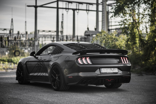 15-23 Ford Mustang (Coupe) Spoiler - Cervinis - C-Series - Hinten - Unlackiert Hinten