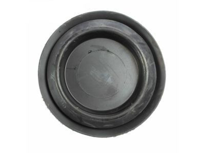 15-17 Ford Mustang GT (5.0) Stopfen - Ford OEM - zum entfernen des Soundrohrs