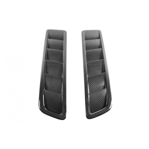 13-14 Ford Mustang GT (5.0) Lufteinlass Motorhaube - Carbon Links und Rechts
