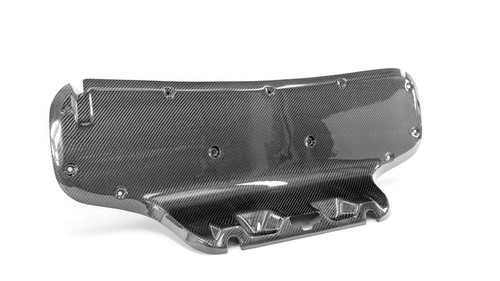 10-14 Ford Mustang (Coupe) Verkleidung Kofferraumdeckel - Carbon - LG509