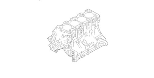 15-20 Ford Mustang (5.2) Motorblock