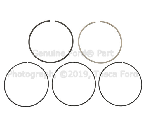 15-19 Ford Mustang EcoBoost Engine Piston Ring