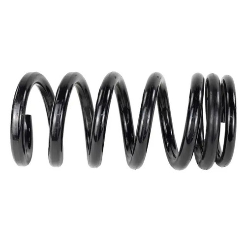 15-20 Ford Mustang (5.2) Spiralfeder - Ford OEM Hinten rechts