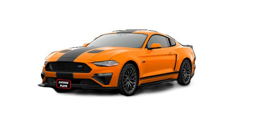18-23 Ford Mustang GT (5.0) Kennzeichenhalterung Vorne