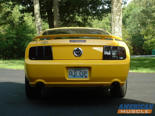 05-09 Ford Mustang Abdeckung Rücklicht
