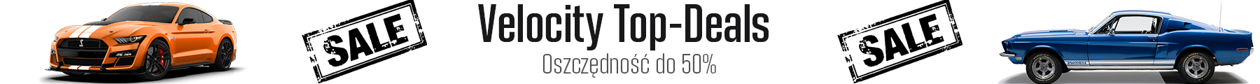 Banner 1