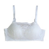 Silk Lined Comfort Lace Bra