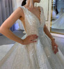 Shimmering Elegance Wedding Gown