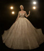 Stunning Ball Gown Wedding Dress