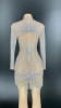 Silver Stone Fringe Transparent Dress