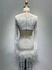 Long Sleeve Diamond Feather Mini Dress 
