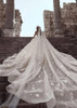 Fairytale Sheer Long Sleeve Lace Bridal Gown